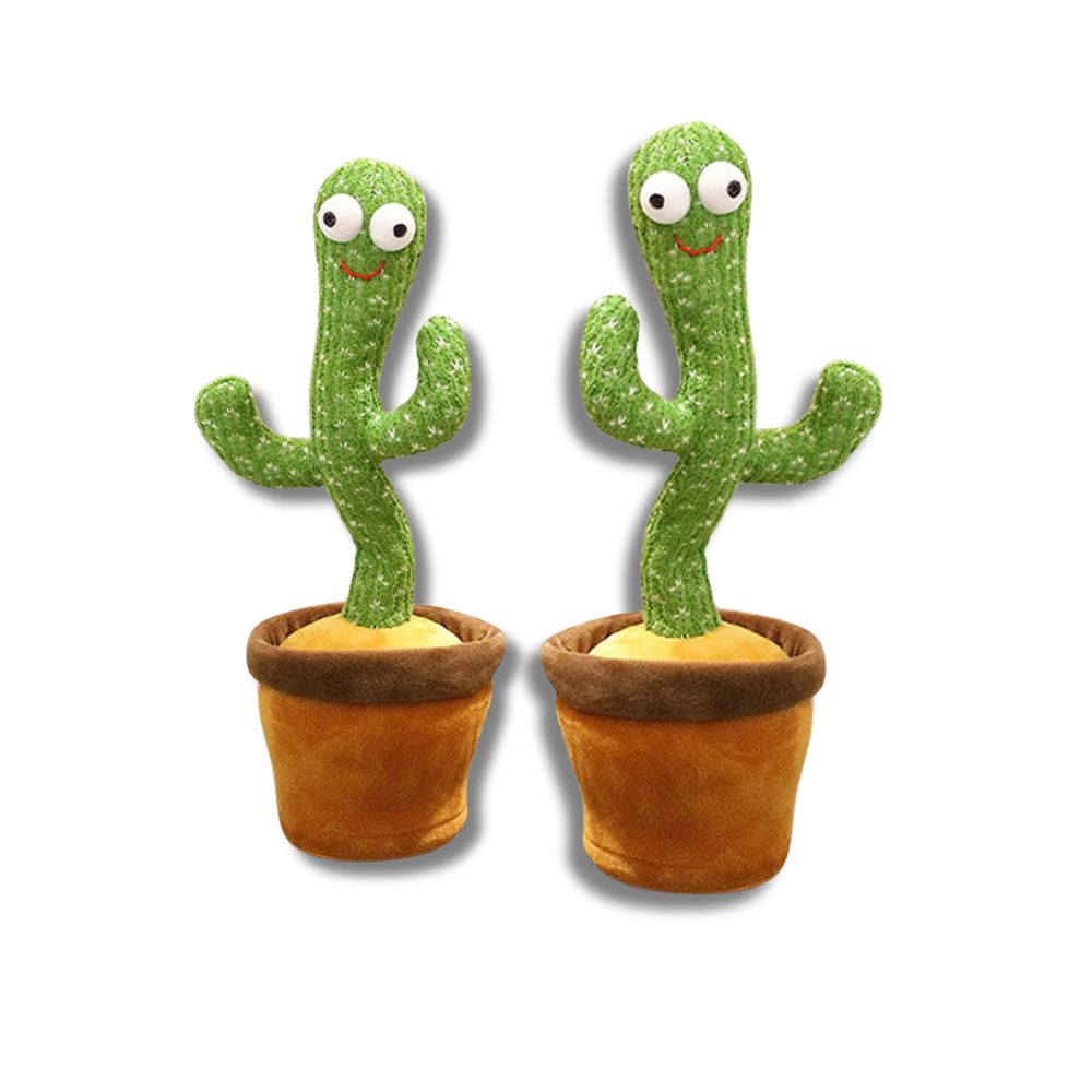 GroovyCactus Pal