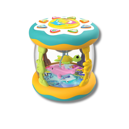 Spin & Shine Musical Learning Toy