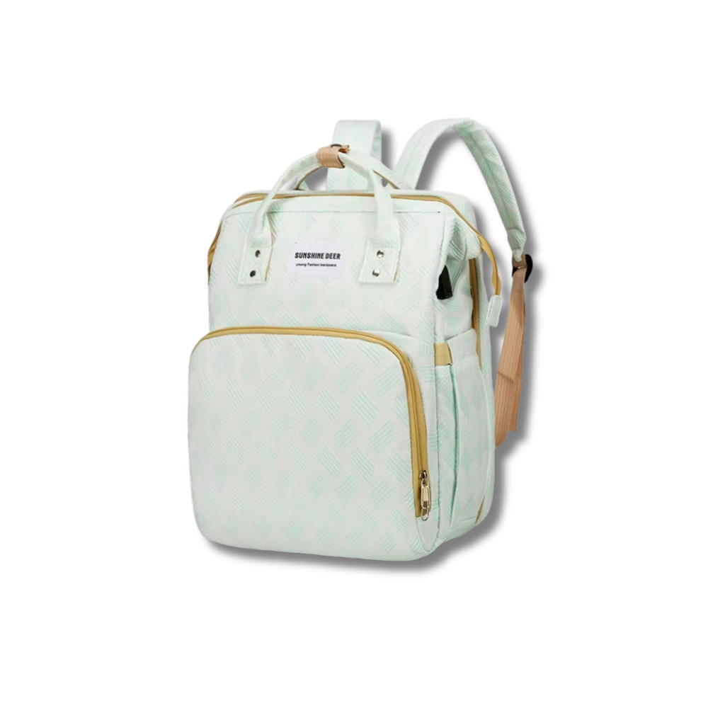CarryNest Baby Bag