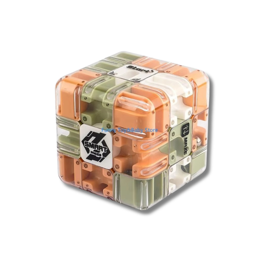 GyroMaze Brain Cube