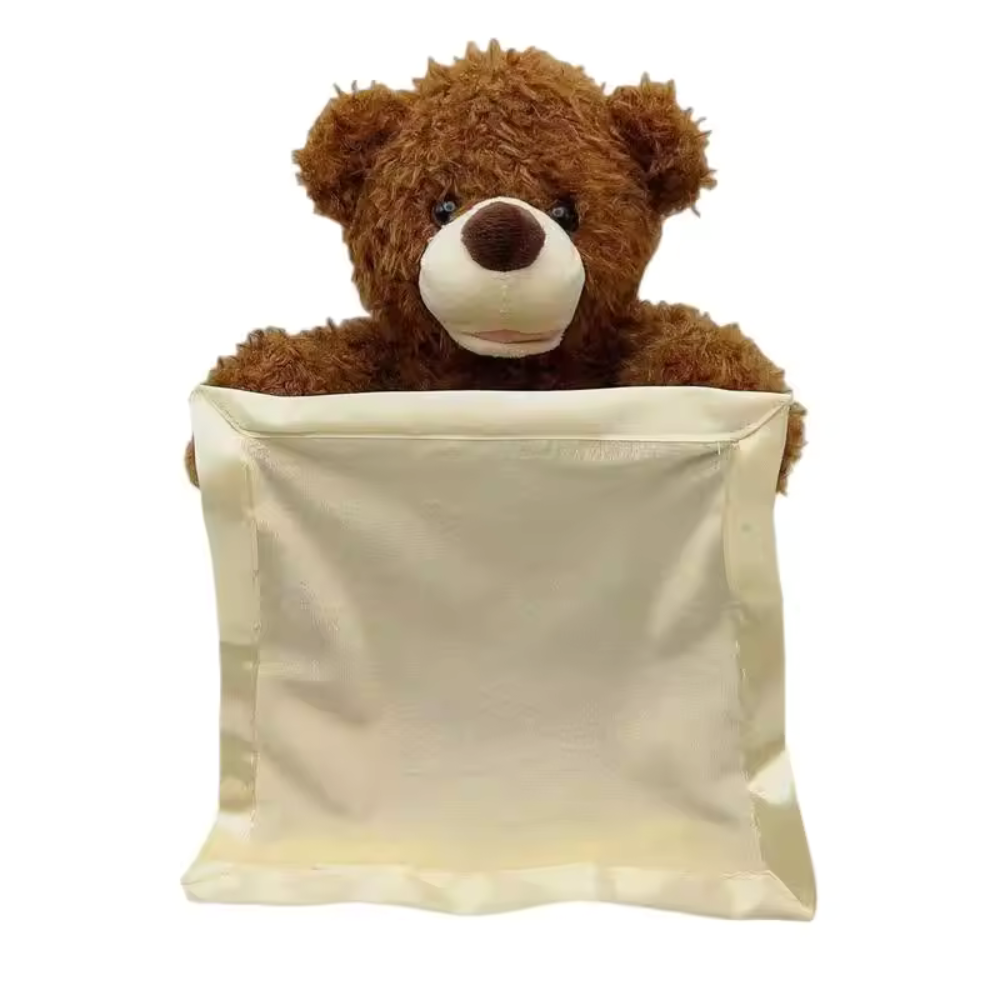 Peekaboo Talking Teddy Bear