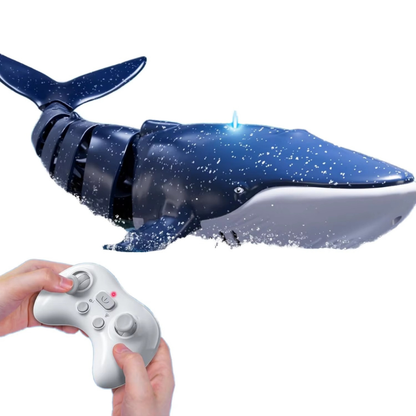 SharkSplash RC