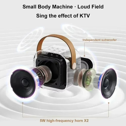 KaraokeK12 Mini Mic Box