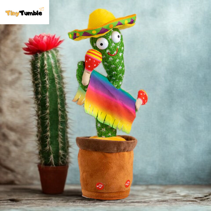 GroovyCactus Pal