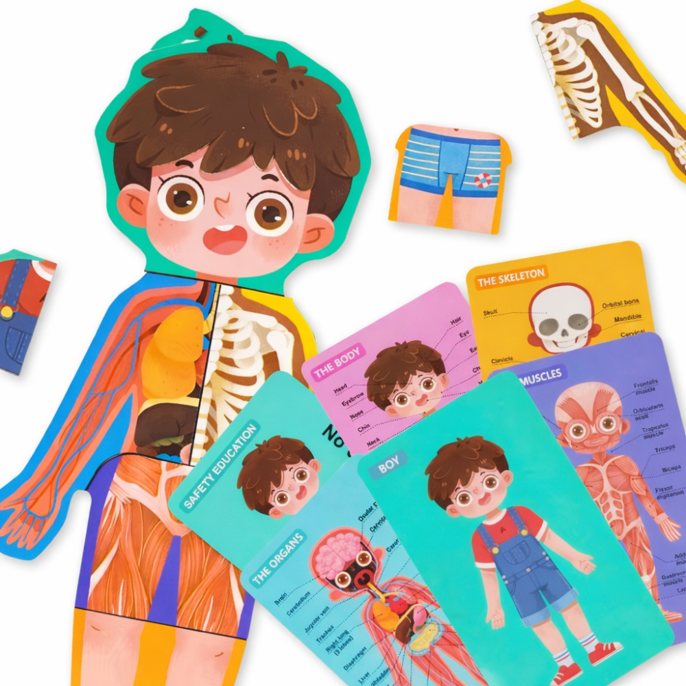 LittleAnatomy Puzzle