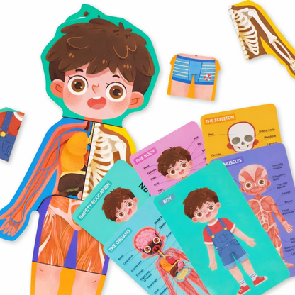 LittleAnatomy Puzzle